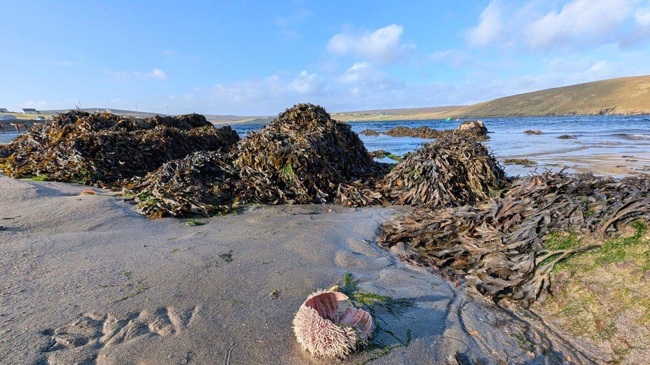 Rocks on wet grey sand in the foreground, with sea and mountains behind and blue sky with white clouds