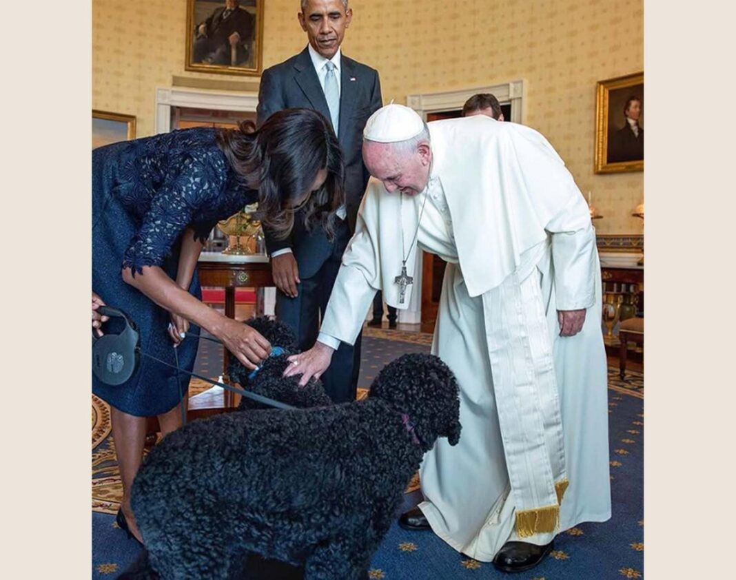 Obamas’ ‘fiery and gorgeous’ dog Sunny dies Pope Francis meeting Sunny in 2015