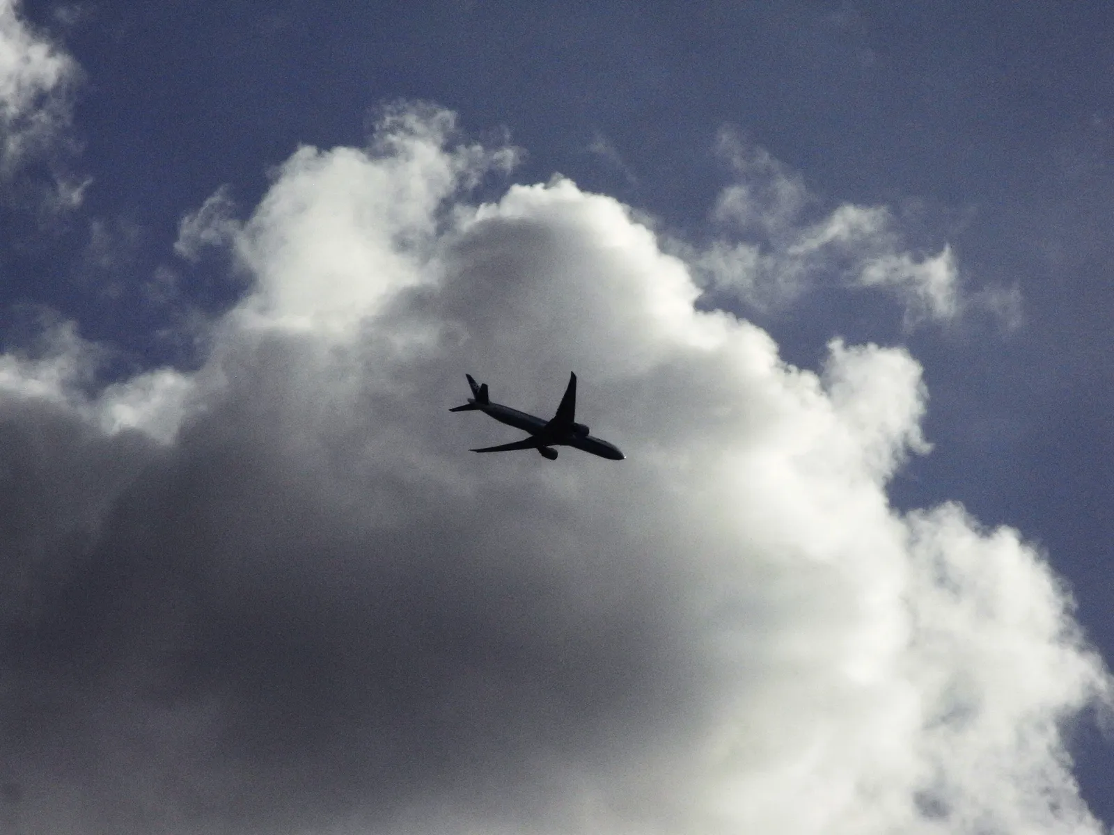 Image may contain Aircraft Airliner Airplane Transportation Vehicle Animal Bird Flying Flight Nature and Outdoors