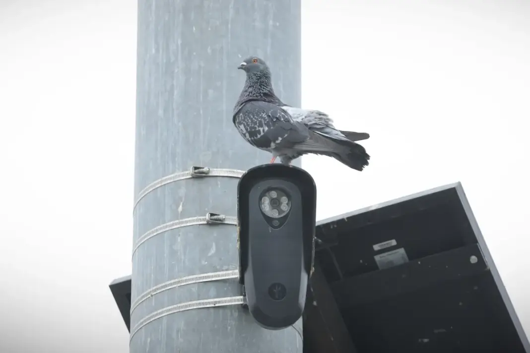 Florida and Texas move to block Flock cameras over privacy concerns Florida and Texas move to block Flock cameras over privacy concerns