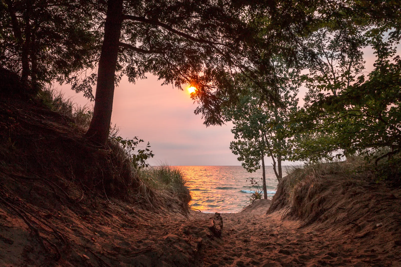 Image may contain Nature Outdoors Sky Scenery Sun Plant Tree Landscape Vegetation Beach Coast Sea and Shoreline