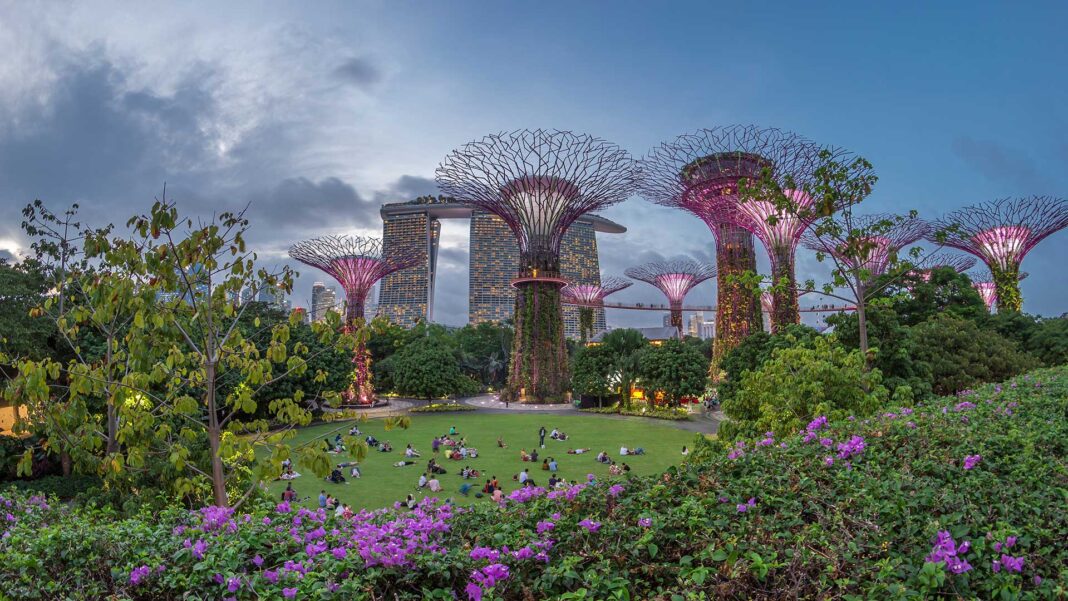 Investing in Singapore as an Expat: What Should You Consider First? image