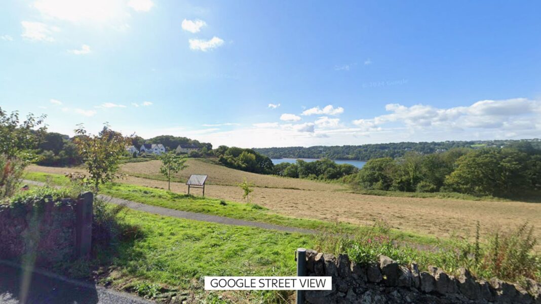 Skynews bangor baby 7364046