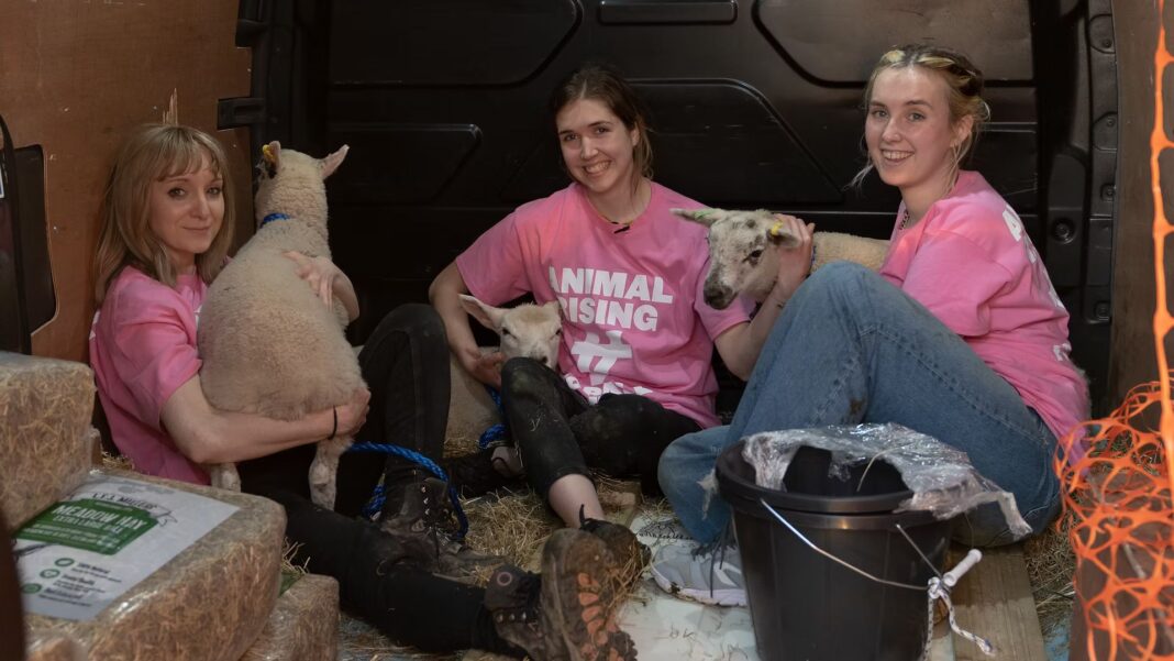 Three animal rights activists guilty of stealing lambs from King’s estate Skynews crime king charles 7360480