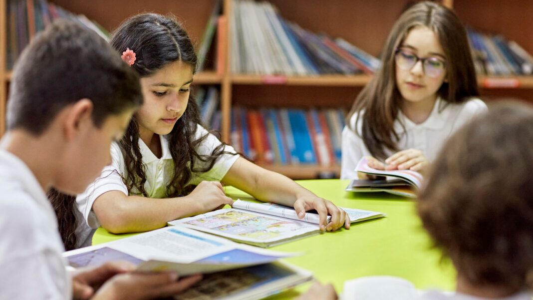 UK teenagers ahead in science, maths and reading Skynews education reading school 7345379