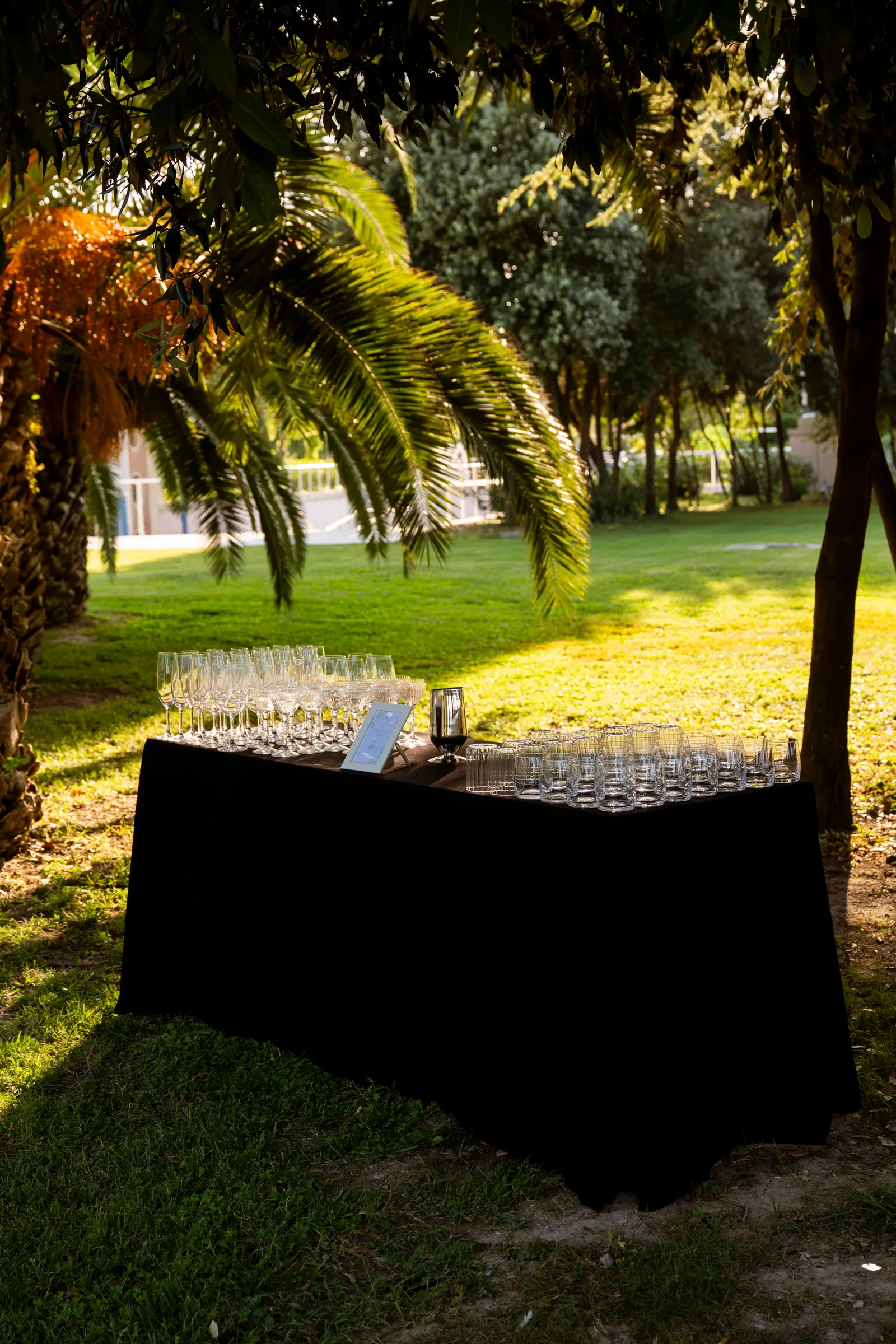 Image may contain Grass Plant Lawn Vegetation Tablecloth Tree Furniture Table People Person Nature and Outdoors