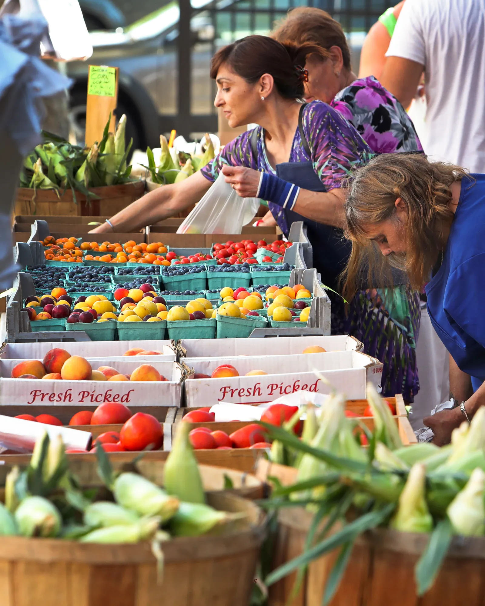 Shoppers browse at the Salem Farmer's Market in Salem MA