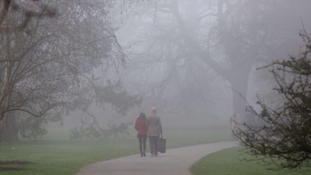 Thick fog to create dangerous driving conditions for UK commuters A couple walking in a park with trees around them in foggy conditions.