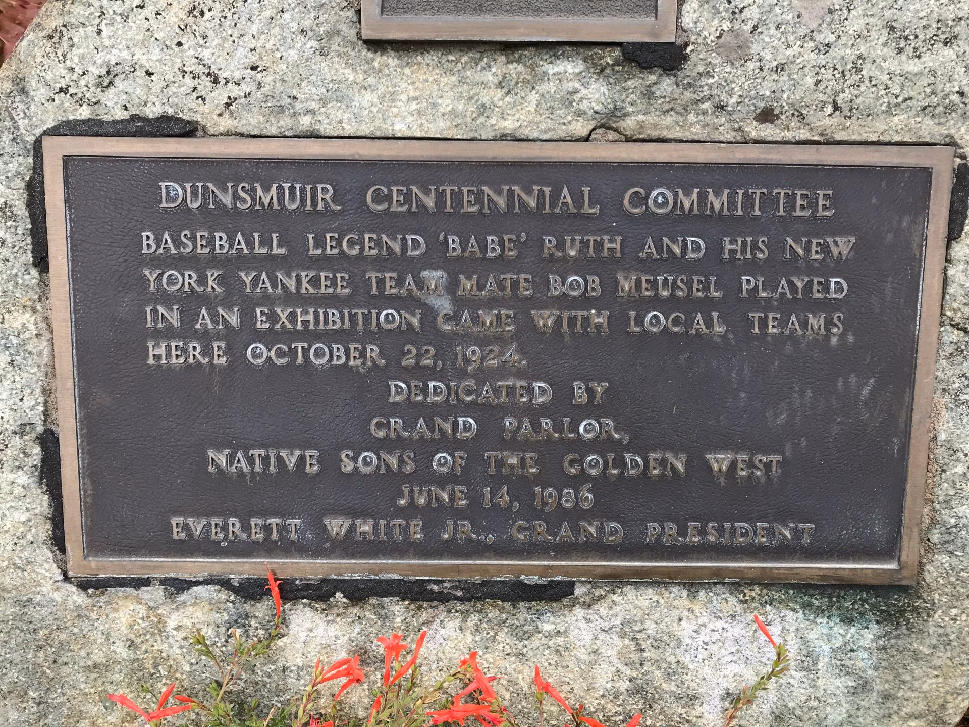 Emil Meusel finished second in the NL in RBIs (132) in 1922, while Bob Meusel led the AL in home runs (33) and RBIs (138) in 1925. - Source: Imagn