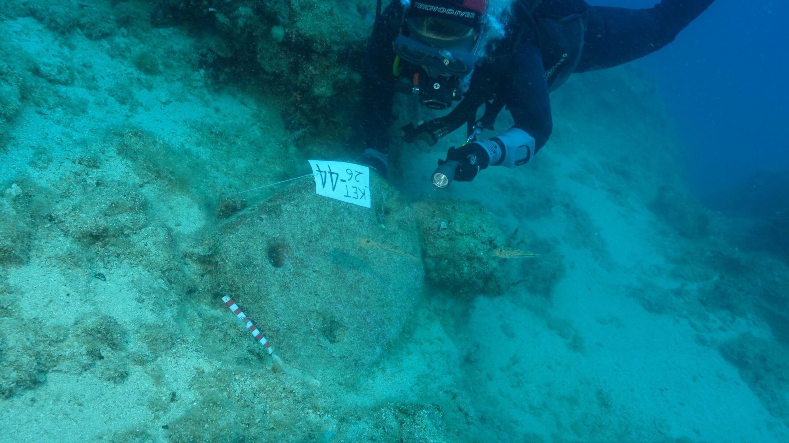 The picture is taken underwater and has a deep blue green colour. In the centre is a large shield-shaped rock with two holes a little way apart at one end and another one at the other. It is about 1m across. This is one of three ship's anchors found at the site. A piece of paper is stuck to the anchor with "KET 26 - 44" written on it. An archaeologist's red and white measuring stick is lying on the seabed at the end with the 2 holes. To the right of the stone anchor, and slightly above, where the sea floor slopes away, a diver is looking at the anchor with what looks like an underwater torch. To the left are some flat rocks partially covered with sand.