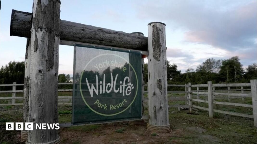 Man dies after tiger attack at wildlife park Man dies after tiger attack at wildlife park