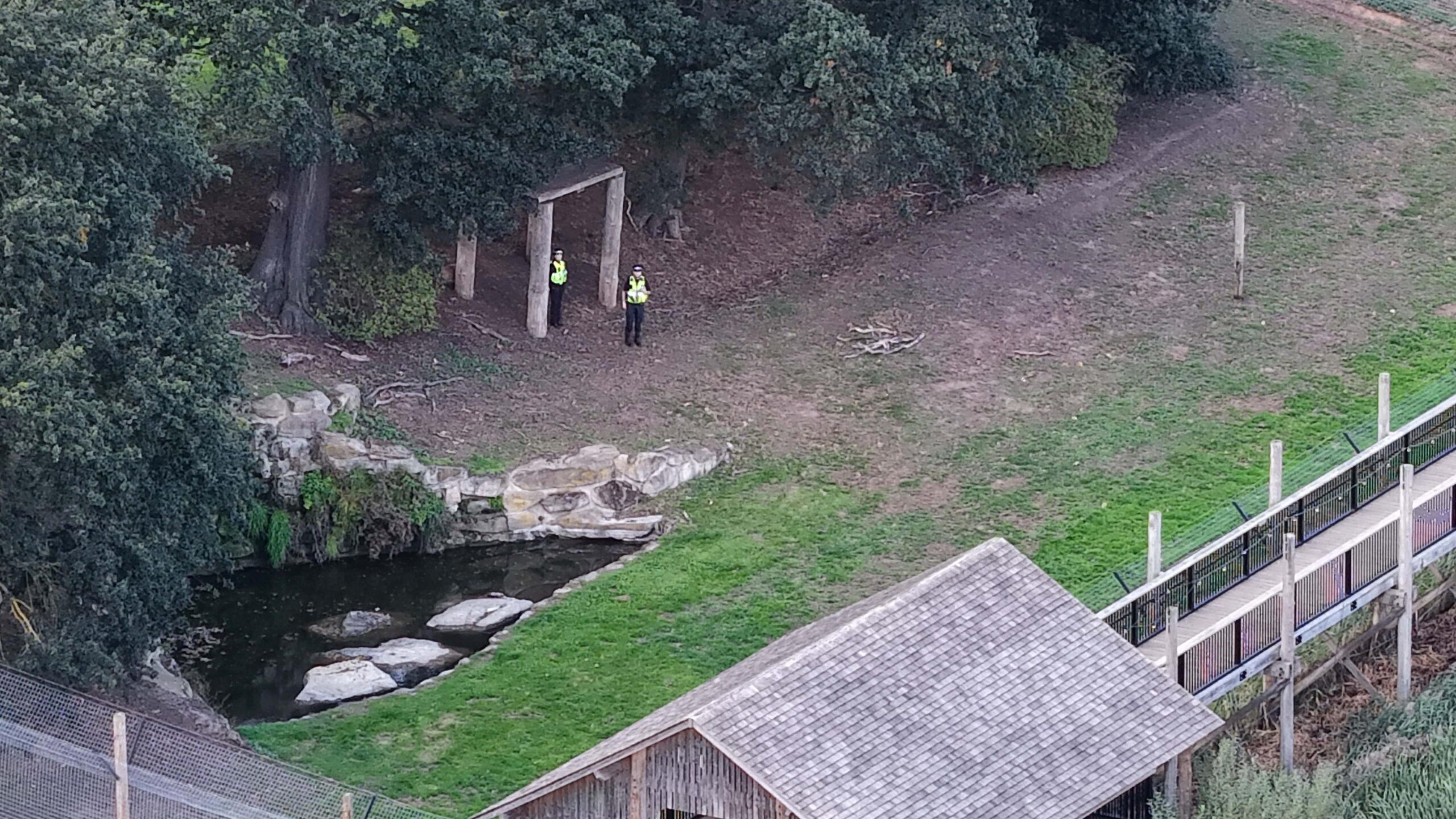 Two police officers stand in a tiger enclosure at the wildlife park. It has a pond and large grass area