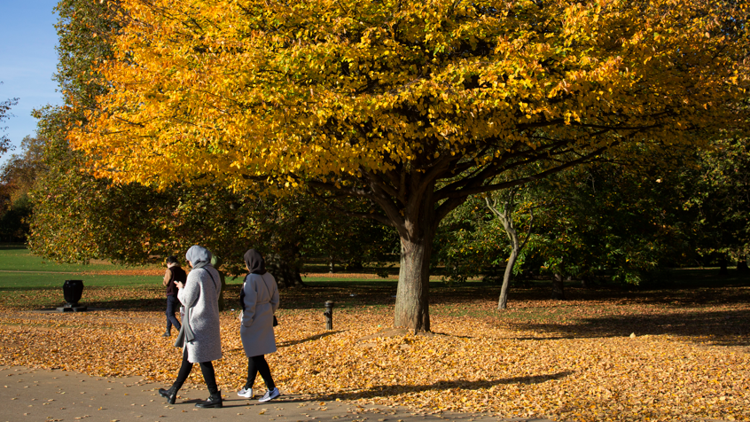 Two women walk along a path in a park in London surrounded by autumn leaves