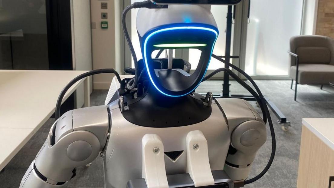 Freddo the robot