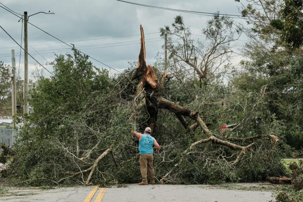 A man stands in front of a huge tree in the road