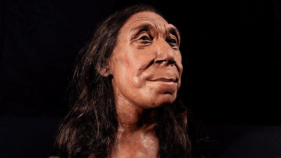 Recreated head of Shanidar Z, a Neanderthal woman believed to have lived around 75,000 years ago and died in her mid-forties. The lifelike reconstruction was created using 3D scans of her reconstructed skull and shows a woman with long, dark hair, prominent facial features and a calm expression, looking slightly upwards against a black background.