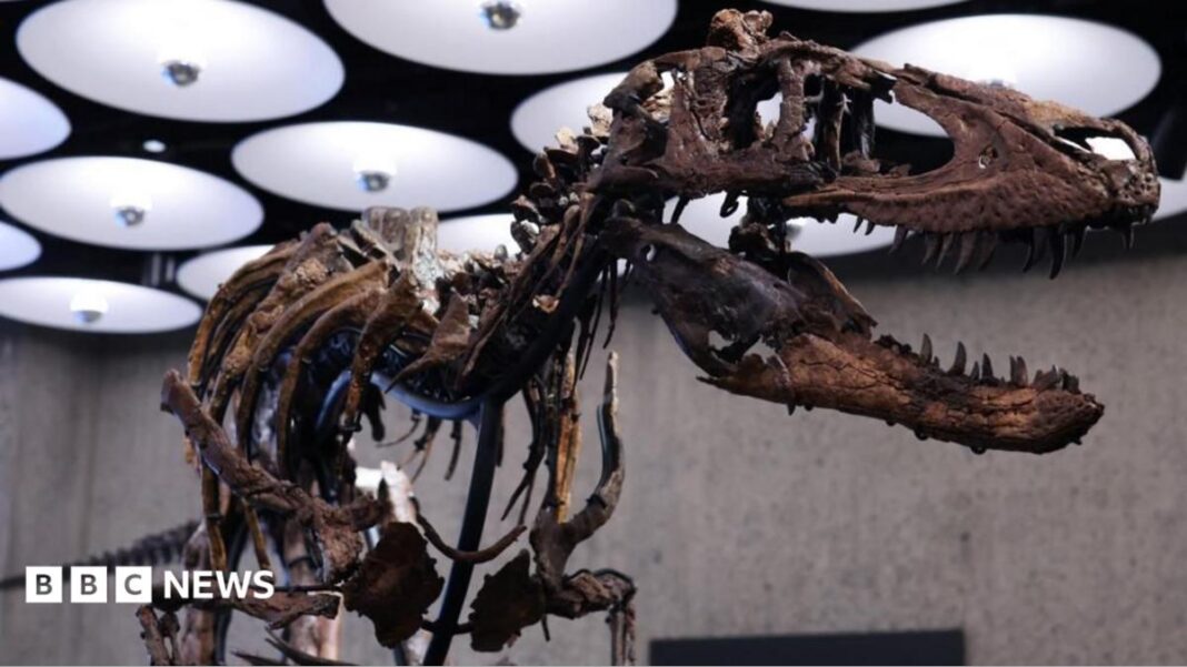 Rare dinosaur skeleton goes to auction in New York with £4.5m price tag Rare dinosaur skeleton goes to auction in New York with £4.5m price tag