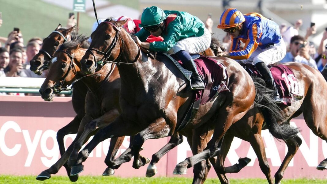 Daryz claims rare back-to-back success in the Arc Daryz wins the Prix de l'Arc de Triomphe for a second time