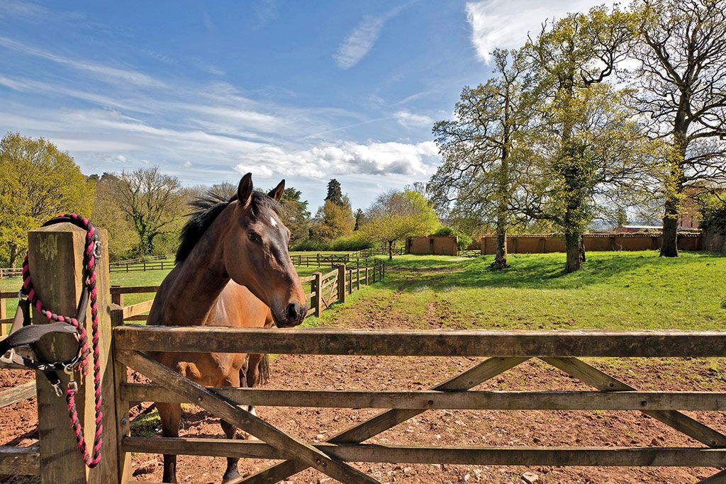 Houses for sale with stables: The Sanctuary, Shobrooke, Crediton, Devon
