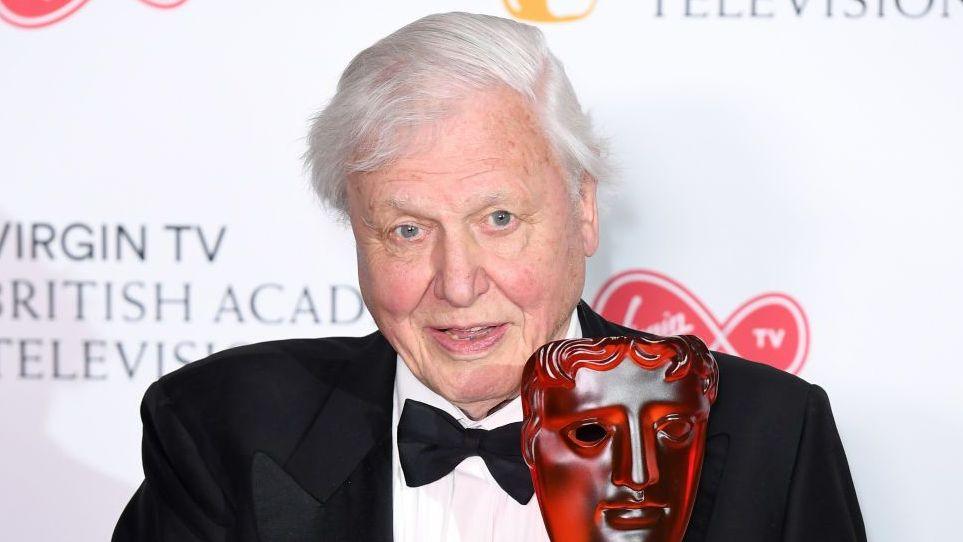 Sir David Attenborough wears a bow tie and black suit on an awards carpet.