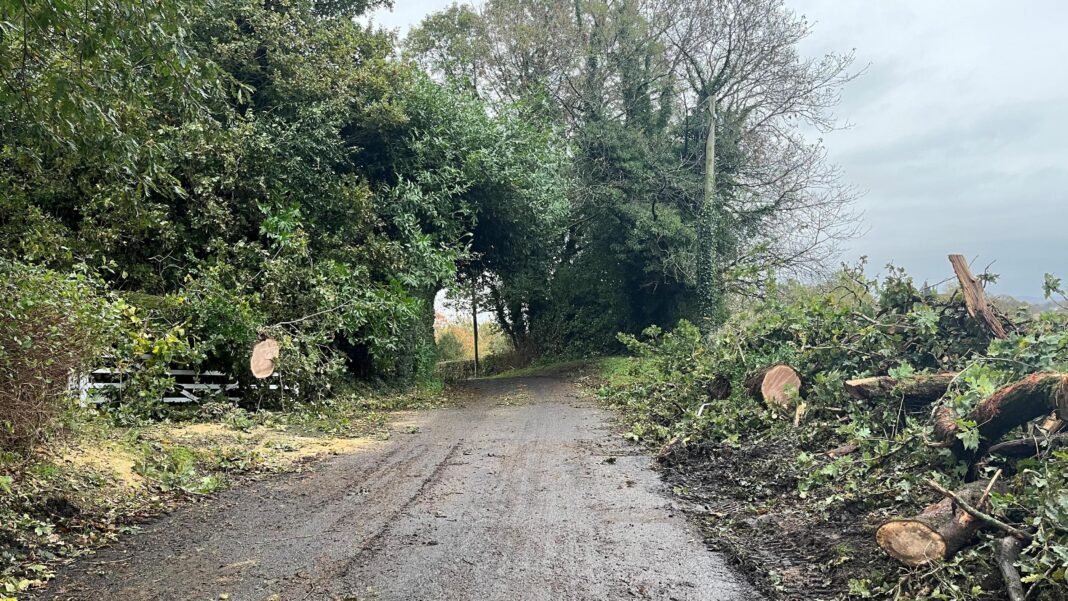 Tributes paid to man killed by falling tree in Storm Boelo Country road and fallen trees