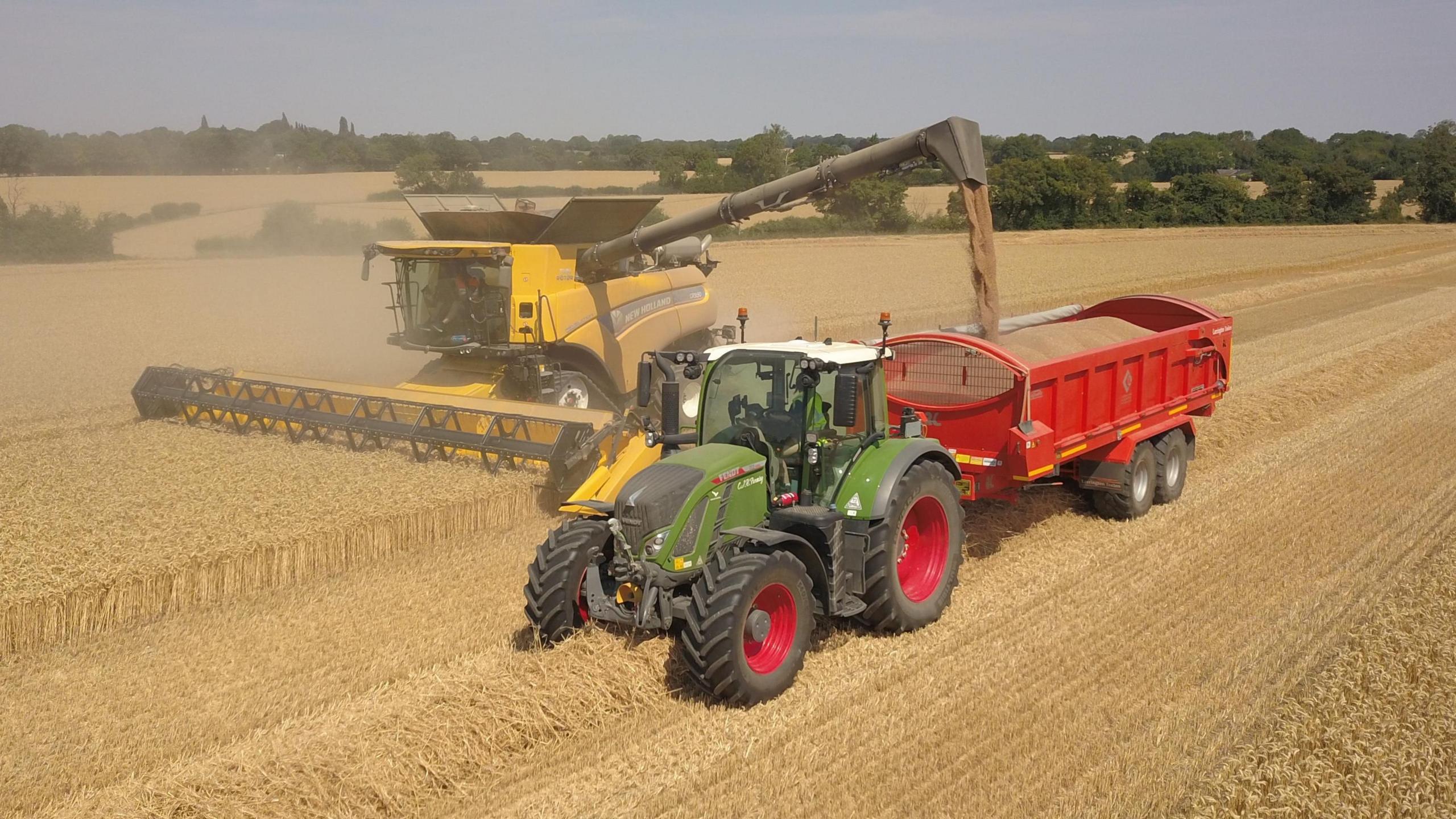 A large tractor on a field of crops. It is a large field and there are trees in the background