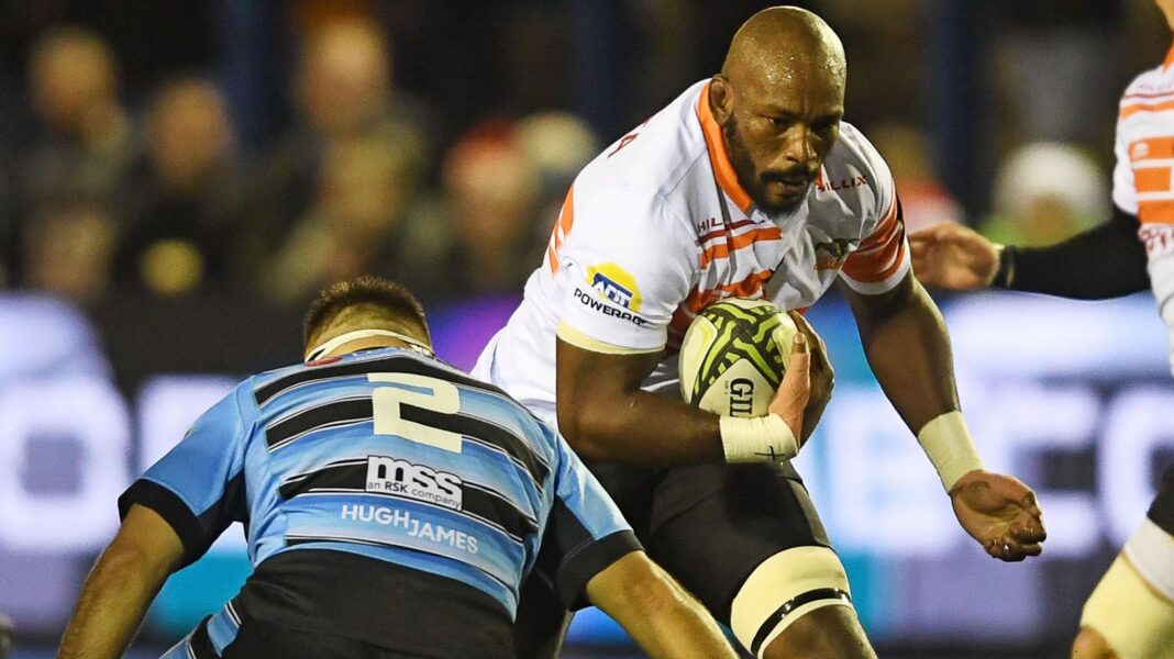 Cheetahs played Cardiff in the Challenge Cup in 2024