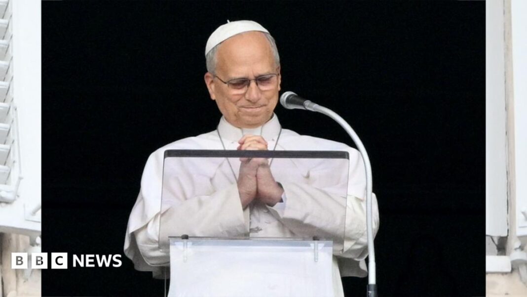 Pope Leo XIV thanks wellwishers in first event after cancer surgery image
