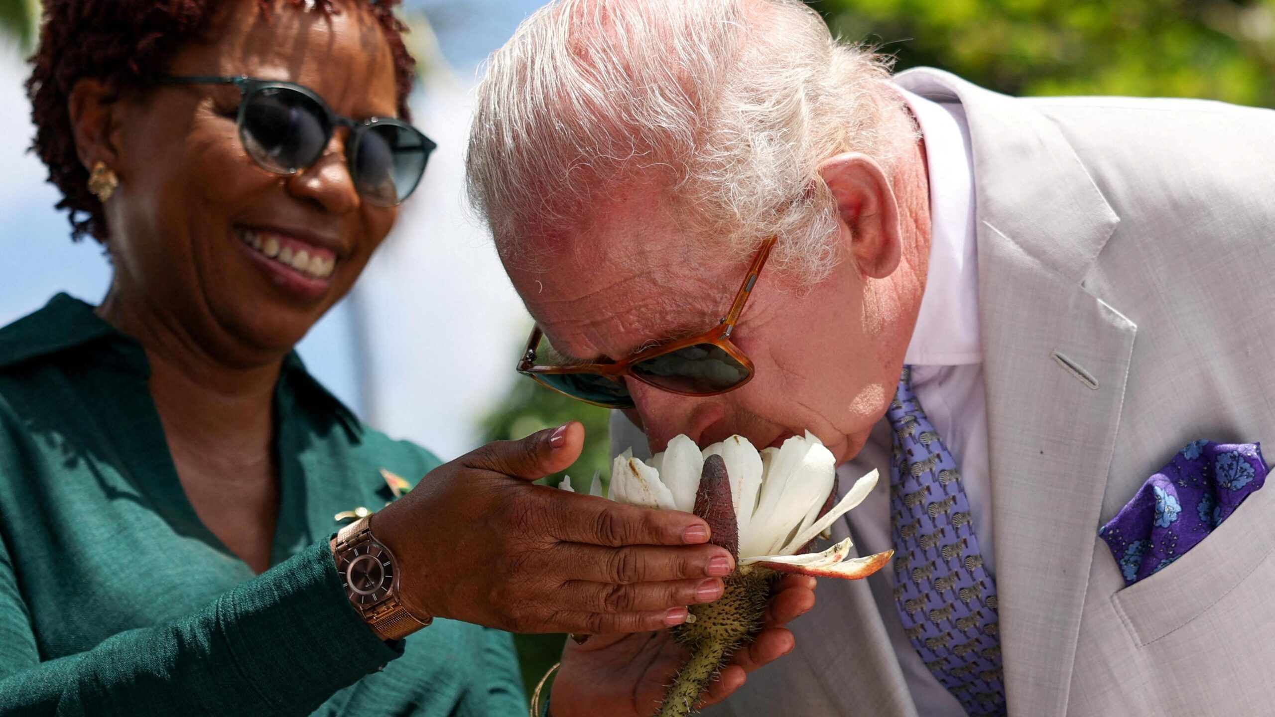 King Charles leaning in to a white water lily to smell it. The flower is being held by a local woman. The King is wearing a pale grey suit with a purple tie with zebras on it, and a purple pocket square with blue flowers. The lady is wearing a forest green blouse. Both are wearing sunglasses