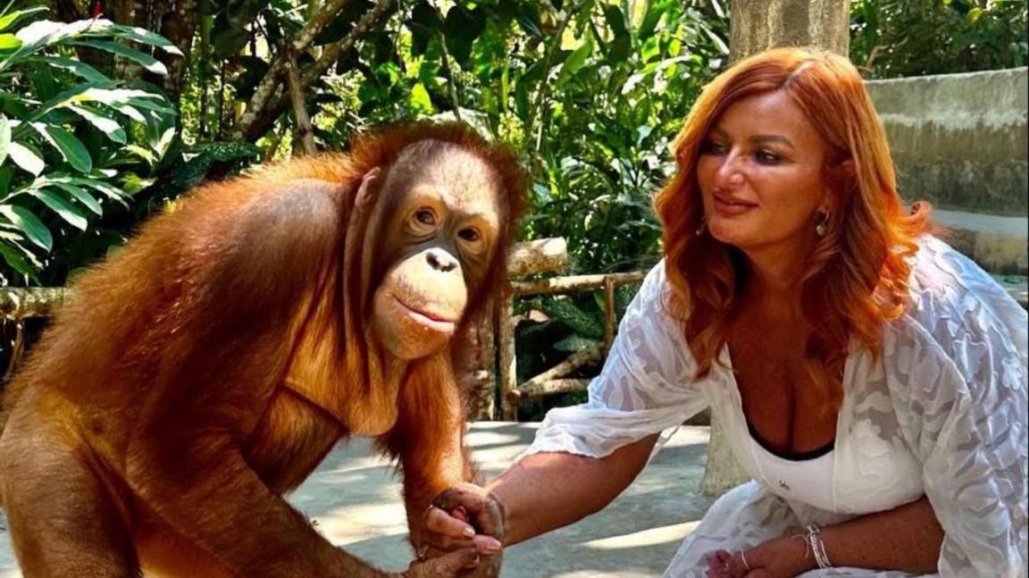 Kelly Kershaw is kneeling down in a white dress holding the hand of an orangutan, which is looking at the camera. Behind them is a forest environment.