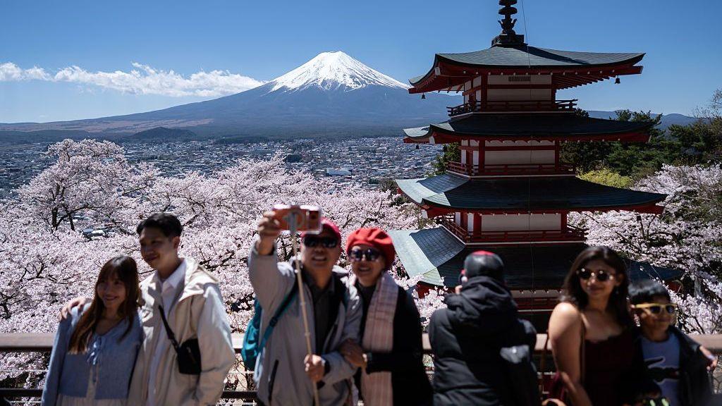 Tourists pose for photographs in front of cherry trees in bloom while Mount Fuji is seen in the background