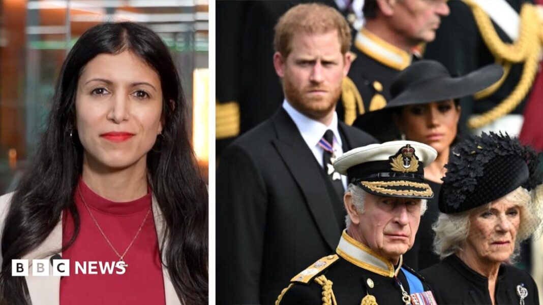 Watch: Why does Prince Harry want to ‘work it out’ with his father and brother? image