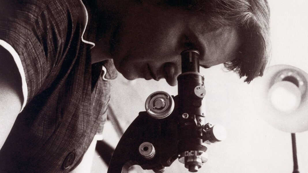 A black and white photo shows Franklin looking down through a microscope in a lab indoors in 1955.