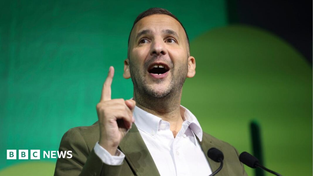 Greens can move Labour in the right direction, says Polanski image
