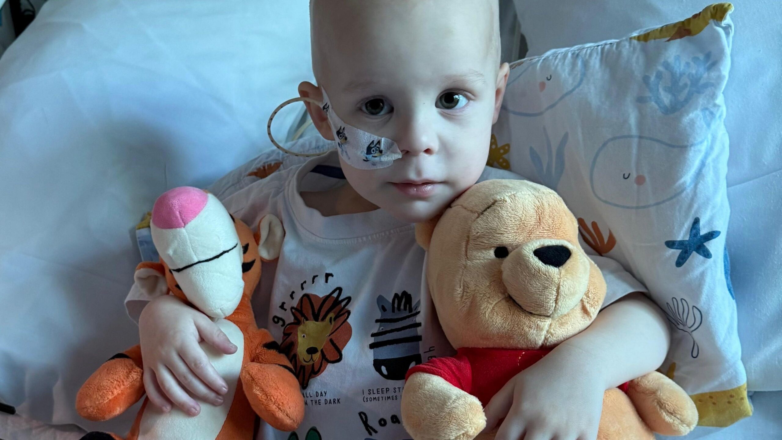Teddy, a little boy sat in a hospital bed with a soft toy of Tigger and Winnie the Pooh. He has a medical tube coming out of his nose and wears a white t-shirt with animals on.