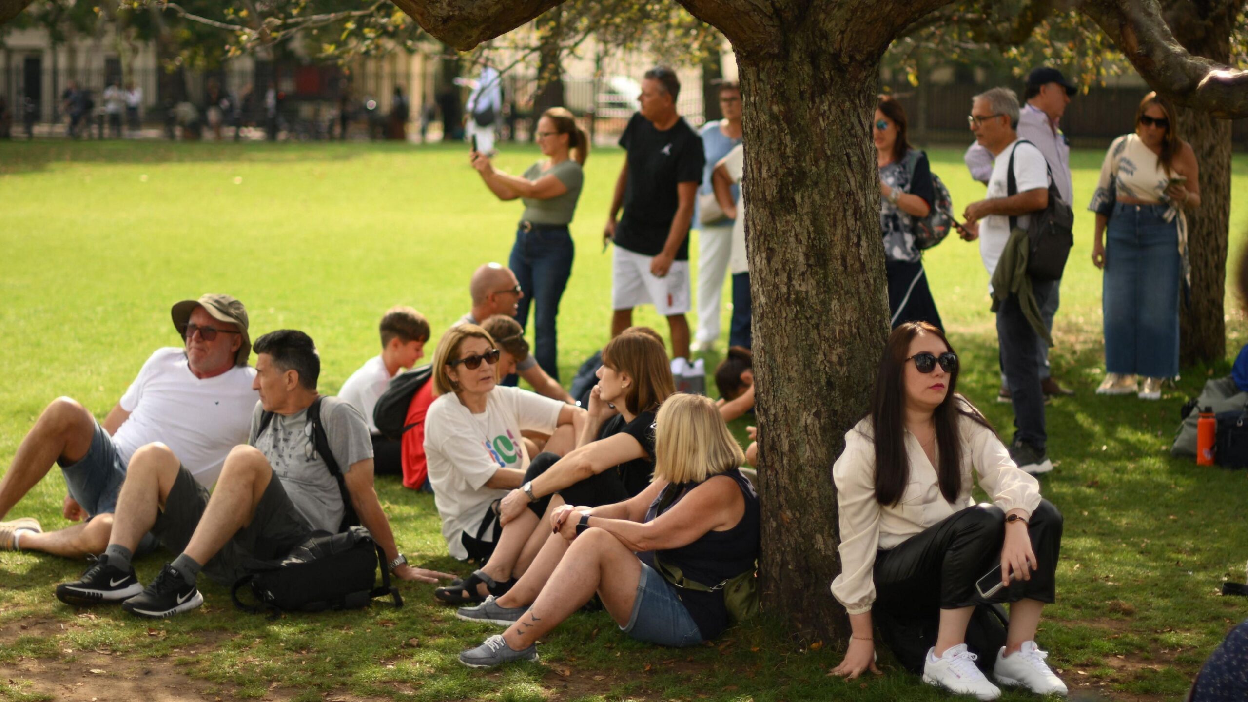 People seek shelter from the heat under the shade of a tree