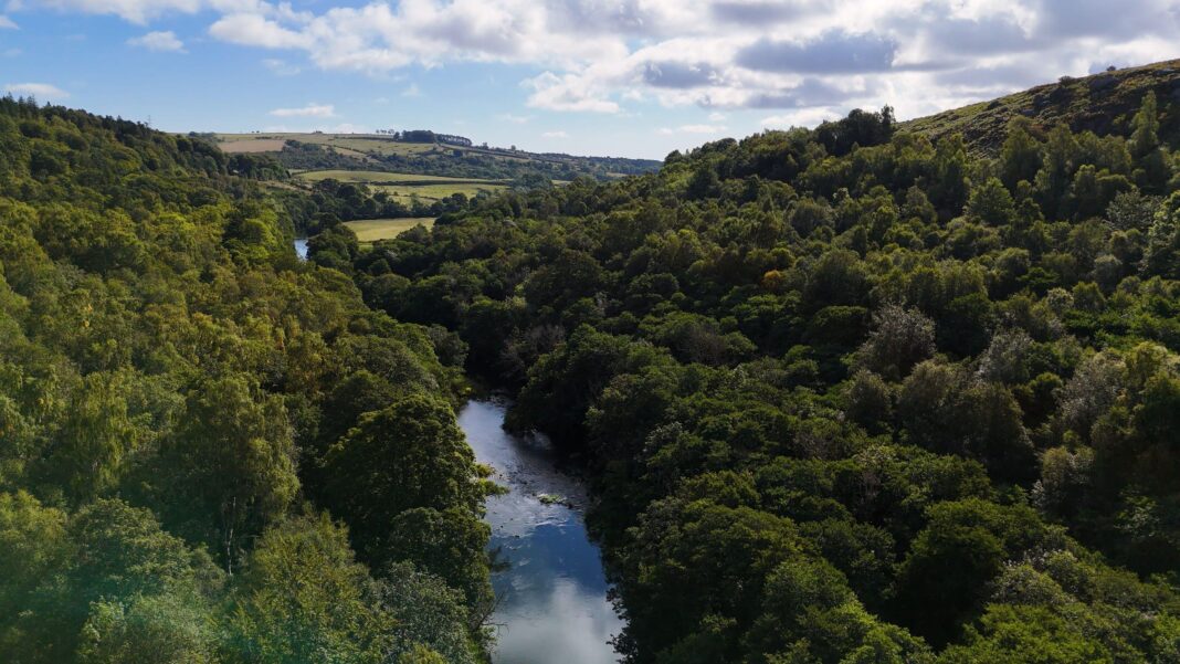 The River Coquet, viewed from above, running through woodland. Green hills can be seen in the distance.