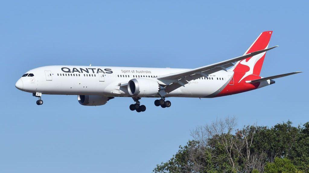 Boeing 787 Dreamliner Qantas plane coming in to land - you can just see the tops of some trees at the bottom of the picture, otherwise the blue sky is behind the plane.