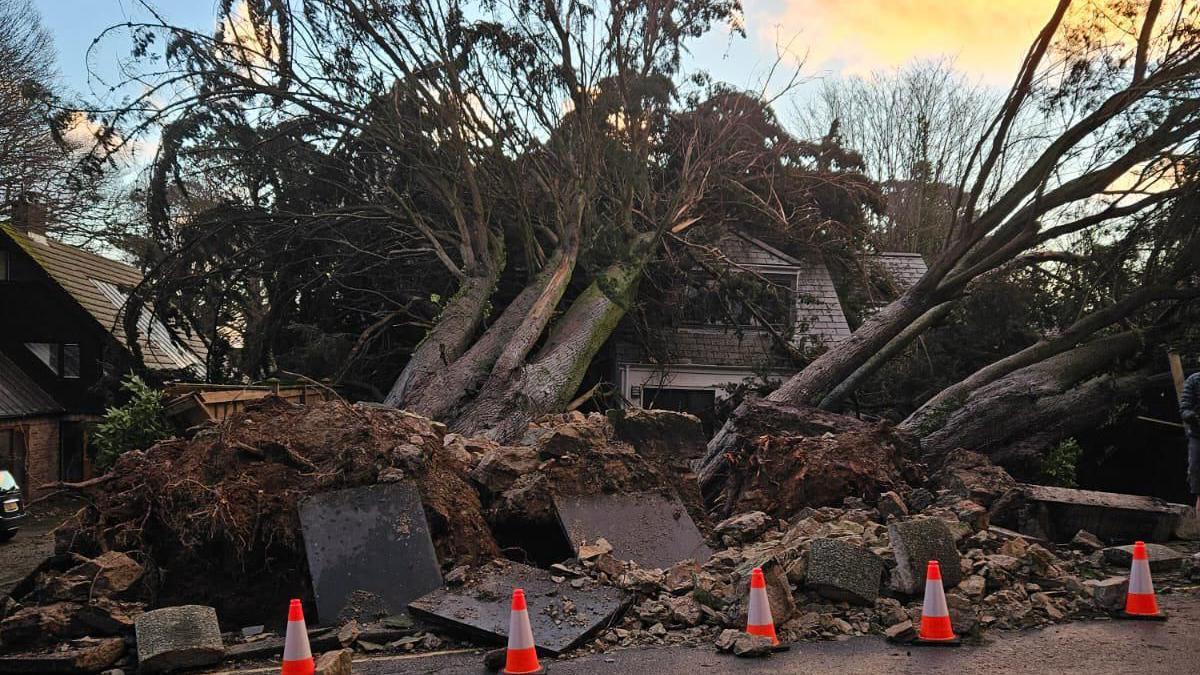 A fallen tree in Falmouth Road, Truro. The tree has fallen on a house. There are orange cones in front of it. The sky is blue with clouds.