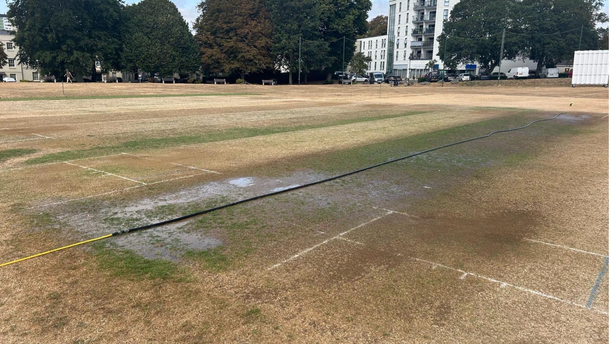 A single hose of water spraying onto a parched cricket wicket in Plymouth.