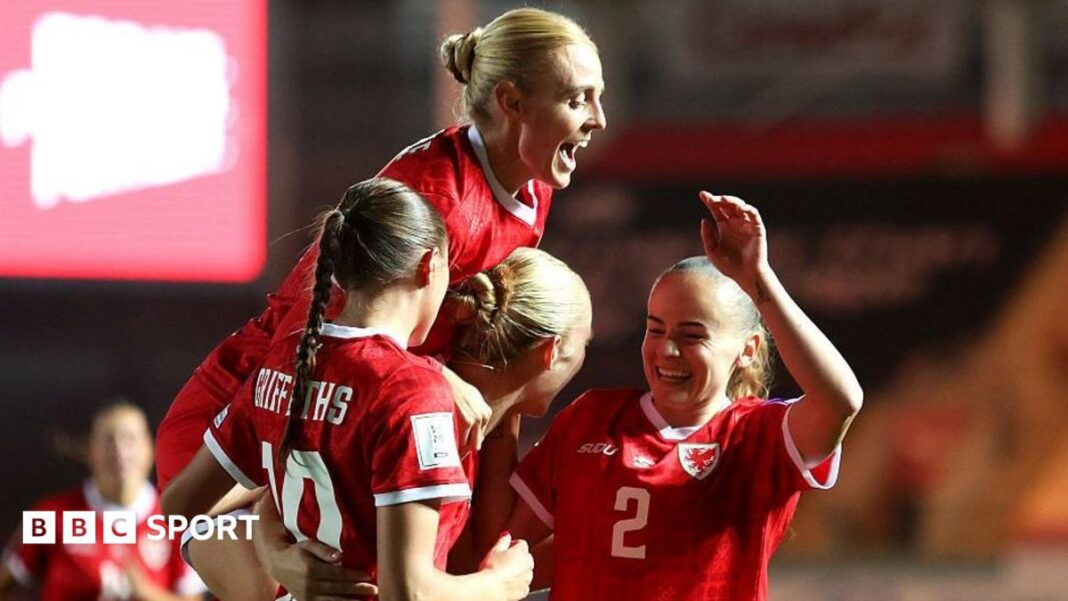 Pressure on Norway in play-off final – Wilkinson Pressure on Norway in play-off final – Wilkinson