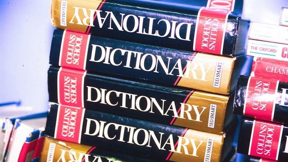 A pile of dictionaries