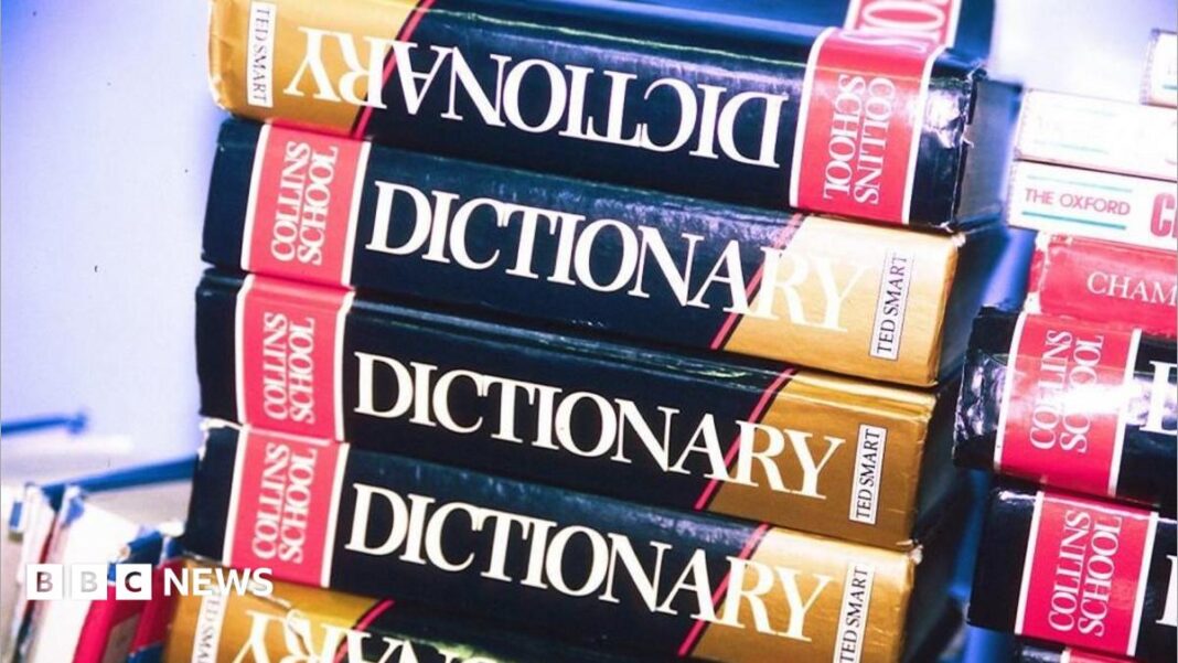 ‘Maxxing’ selected as Dictionary.com word of the year ‘Maxxing’ selected as Dictionary.com word of the year