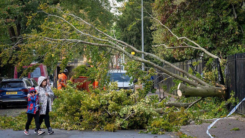 Fallen tree over a road with workmen trying to cut up and clear the branches from the road.  Pedestrians walking around the tree