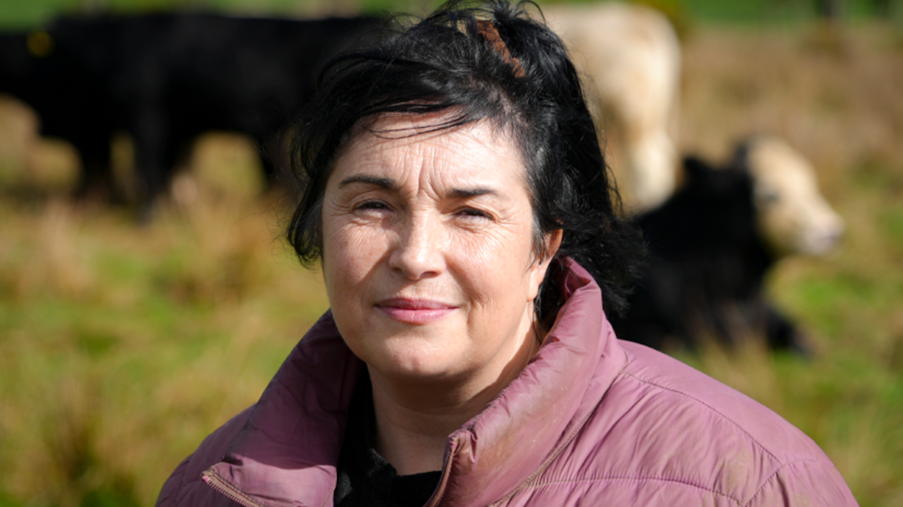 A headshot of farmer Tracy Lewis. She has black hair and wears a red coat with a black t-shirt. In the background, black and white cows are in a green field