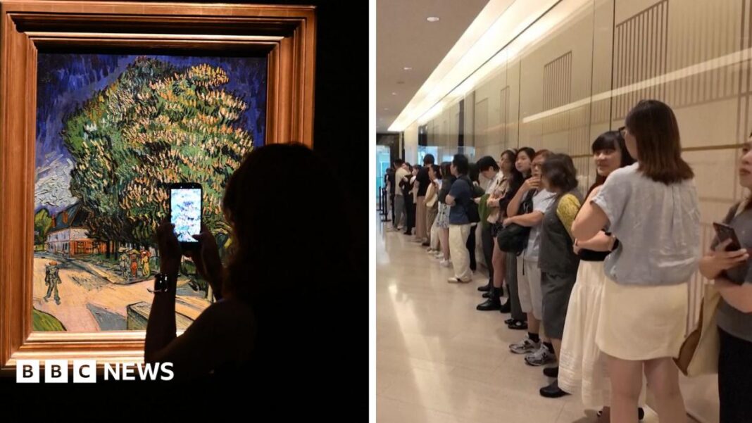 Watch: Hong Kong crowds queue to see Van Gogh painting unveiled for first time in 60 years image
