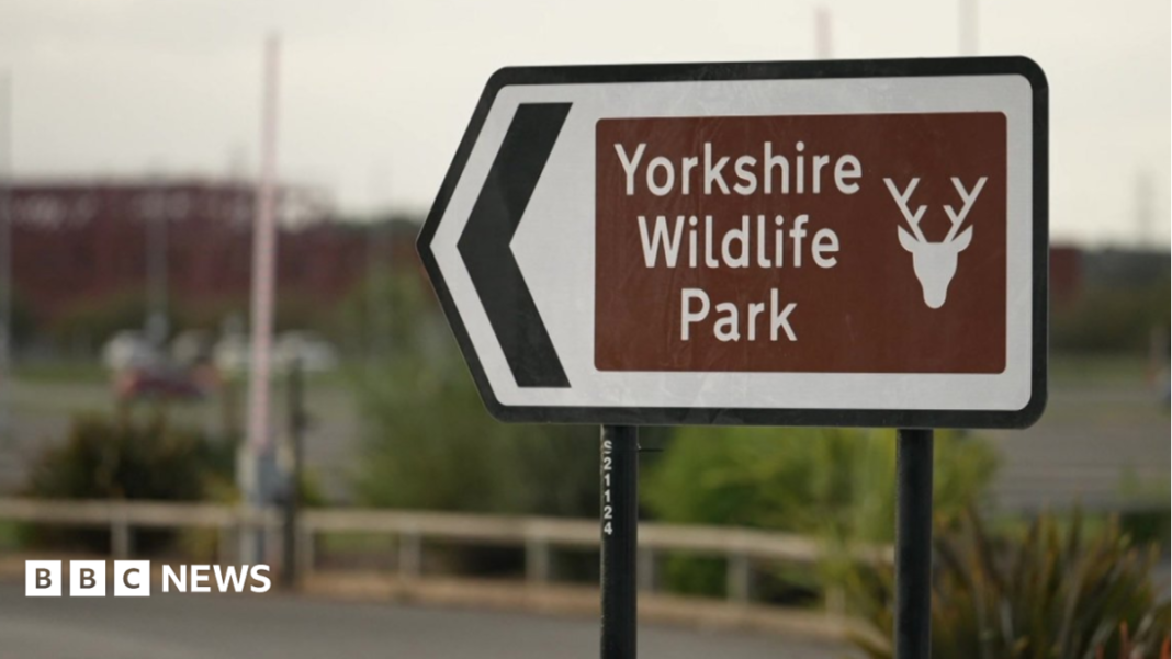 Man dies after tiger attack at wildlife park Man dies after tiger attack at wildlife park