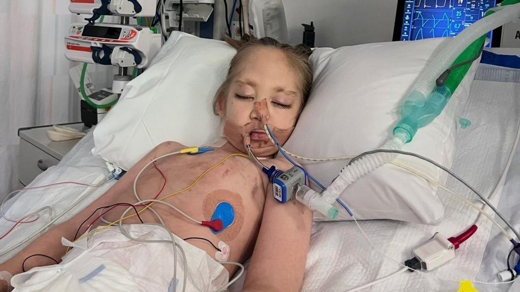Willow lies on a hospital bed with tubes attached to her body