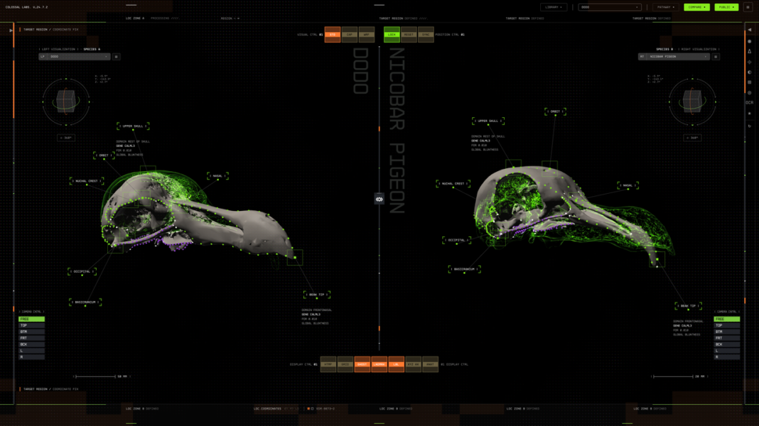 Colossal Biosciences announces new AI platform to help accelerate de-extinction efforts Colossal labs 1