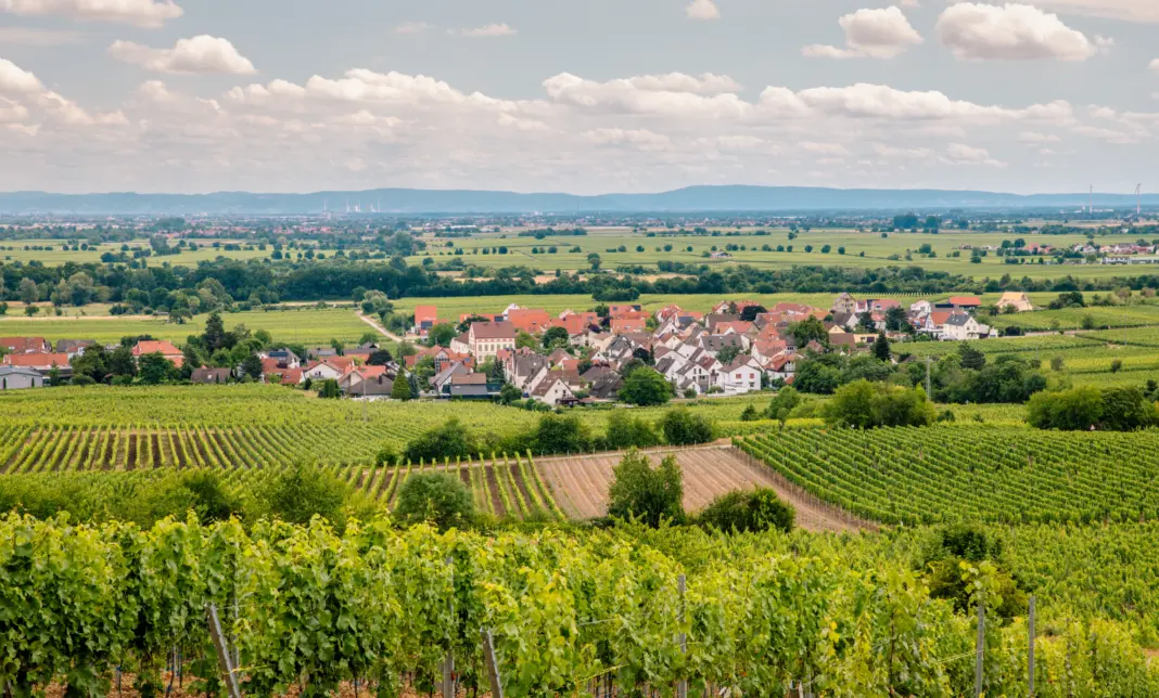 Deidesheim Is the Tiny German Wine Town You’ve Never Heard Of—And It Now Has a Three-Star Michelin Restaurant Deidesheim gettyimages